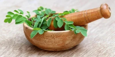 Daun Kelor