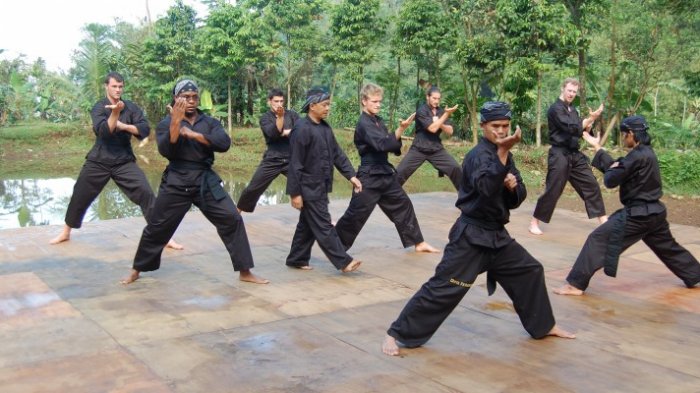 Bela Diri Tradisional Indonesia Pencak Silat