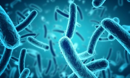 Mikroorganisme Bakteri Yang Mempunyai Sisi Positif