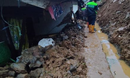 Sentilan Kemenko Infrastruktur: Kawasan Hulu Harus Hijau