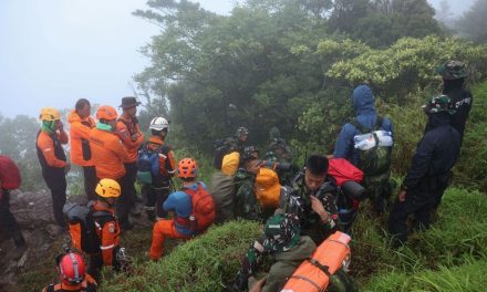 Update Pesawat Jatuh: Tim SAR Evakuasi 6 Jenazah