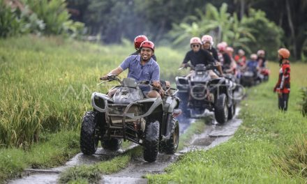 Kendaraan Bermotor ATV Khusus Melintasi Berbagai Medan