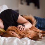 Tidur Siang: Booster Fisik Dan Mental Alami