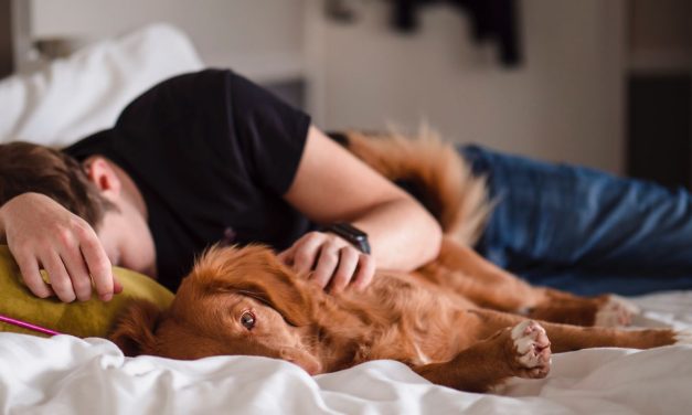 Tidur Siang: Booster Fisik Dan Mental Alami