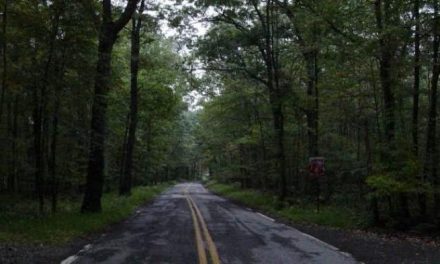 Sudut Sunyi Malang: Rahasia Yang Belum Terungkap