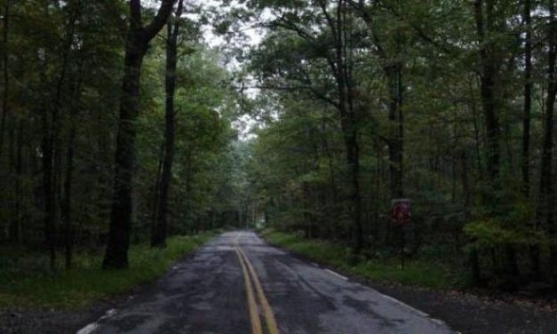 Sudut Sunyi Malang: Rahasia Yang Belum Terungkap