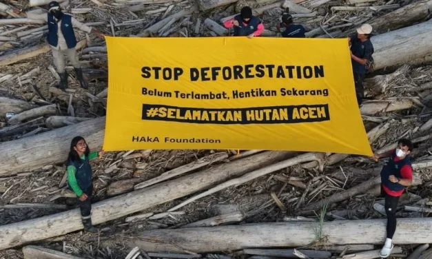 Stop Rusak Hutan Kami! Kami Butuh Aman, Bukan Banjir