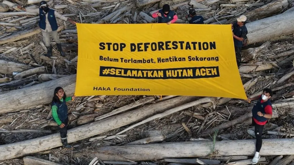 Stop Rusak Hutan Kami! Kami Butuh Aman, Bukan Banjir