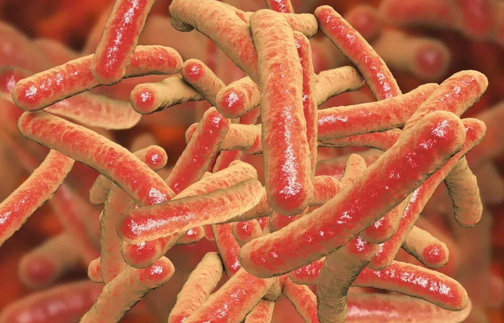 Kata Dokter: Ini Penyebab Kenapa Bakteri TB Bisa Kebal Obat