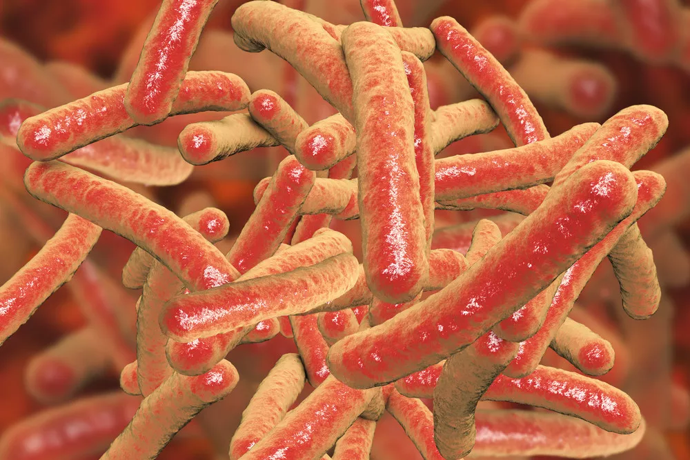 Kata Dokter: Ini Penyebab Kenapa Bakteri TB Bisa Kebal Obat