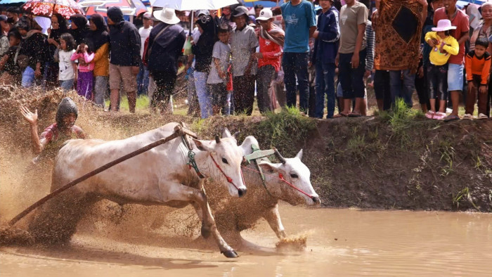 Yuk Intip 3 Daya Tarik Suku Minang Yang Jarang Di Ketahui