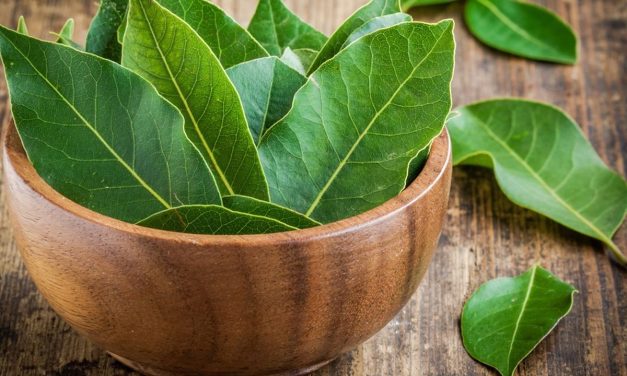 7 Daun Penurun Trigliserida Tinggi