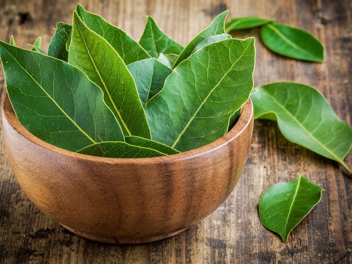 7 Daun Penurun Trigliserida Tinggi