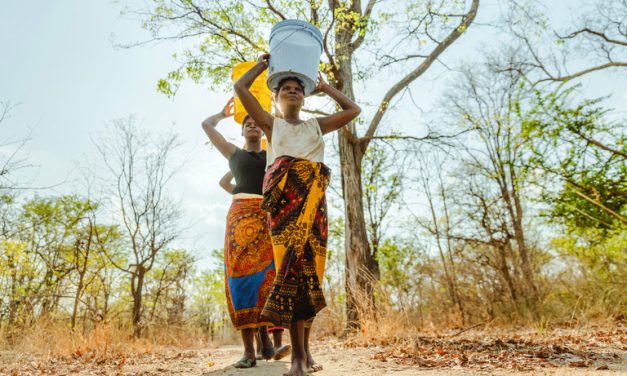 Adaptasi Taman Nasional Kenya Hadapi Perubahan Iklim